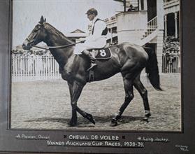 Lot 75